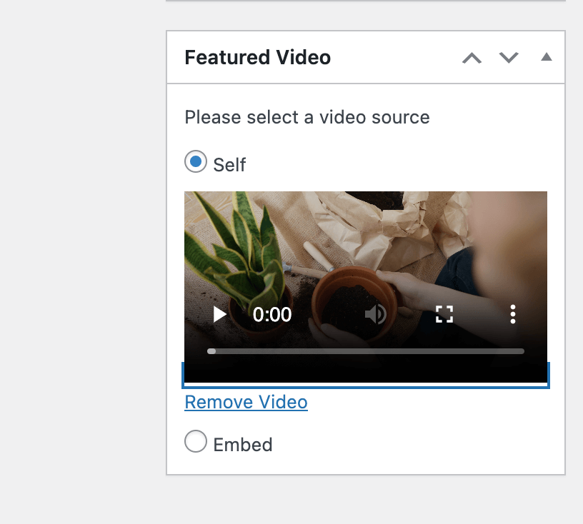 Featured Video display